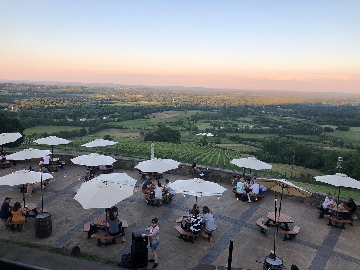 Dirt Farm Brewing bar in Loudoun