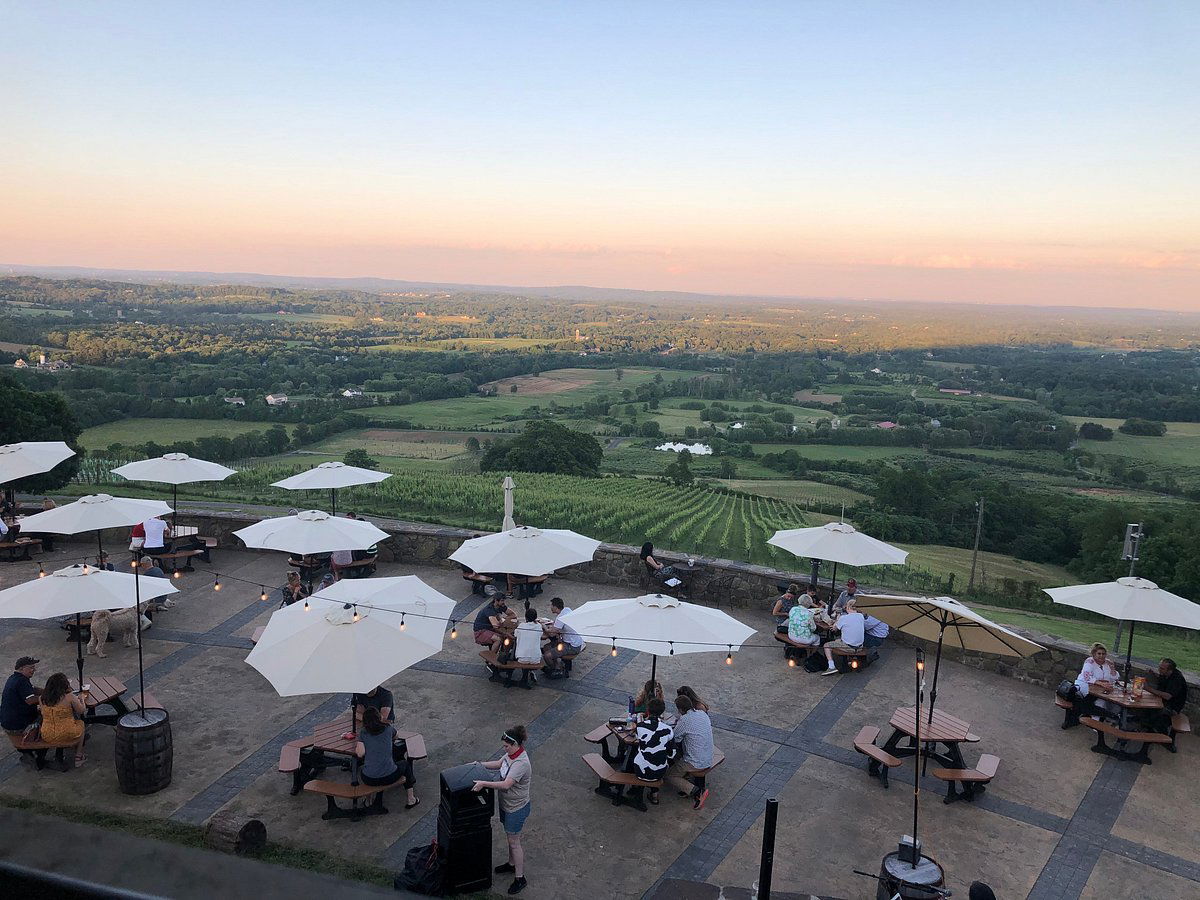 Dirt Farm Brewing, Bar in Loudoun