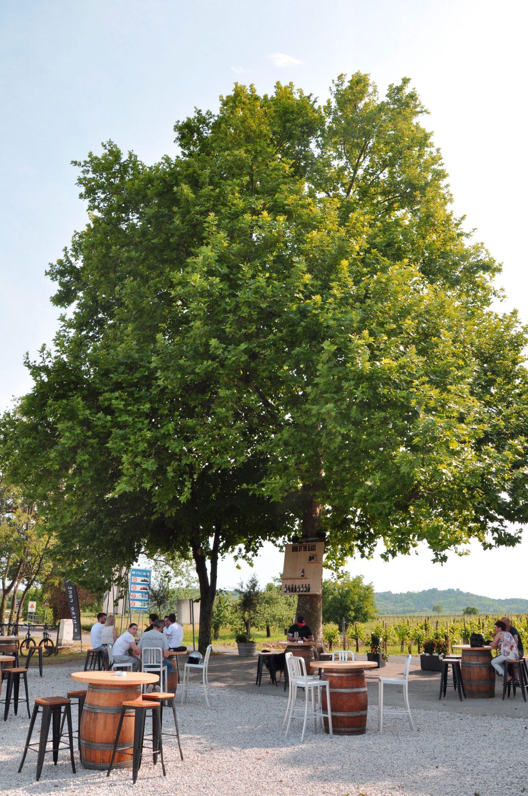 Konvin bar in Kojsko, Slovenia