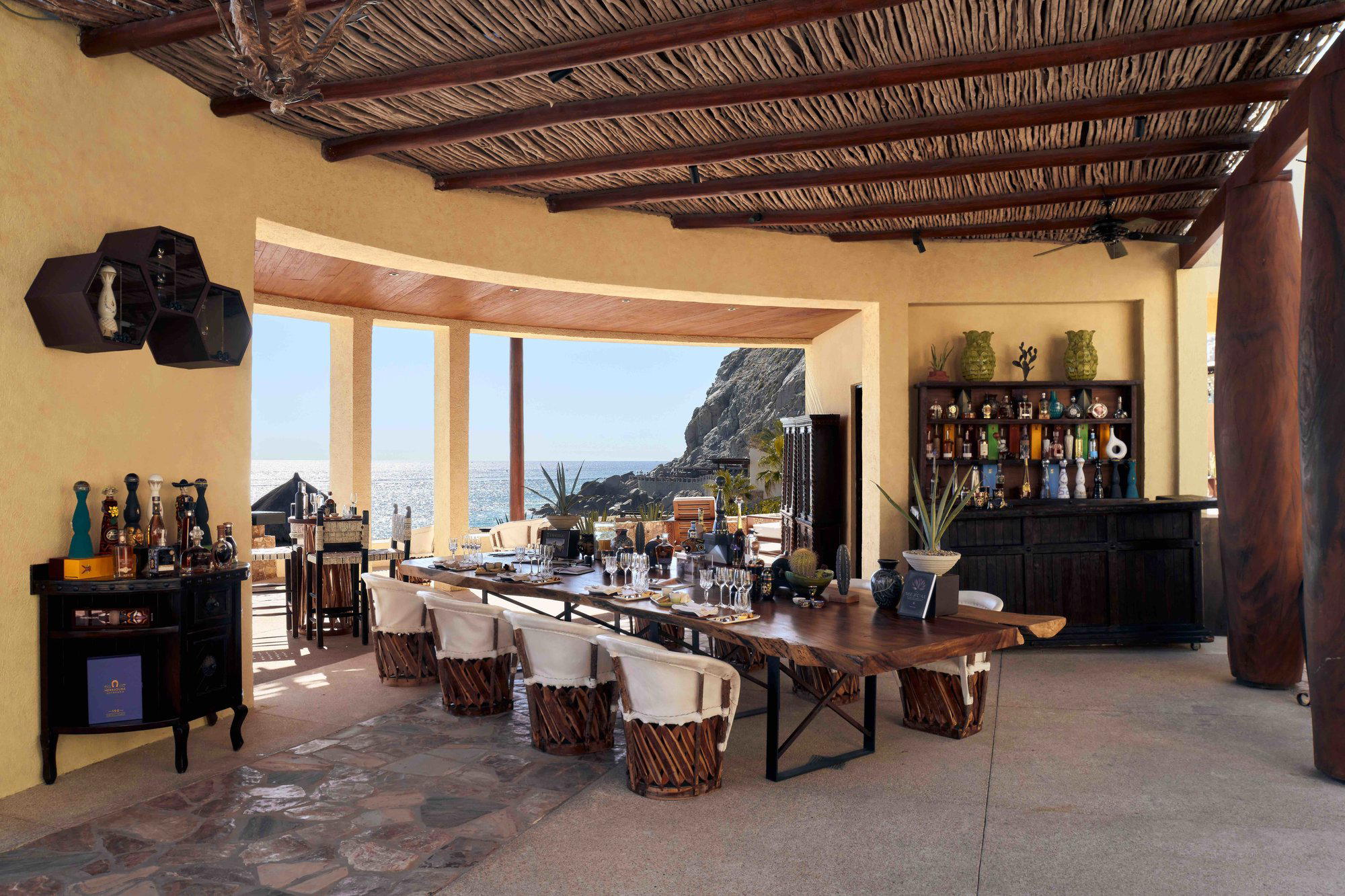 Agave Study at Peacock Alley bar in Cabo San Lucas