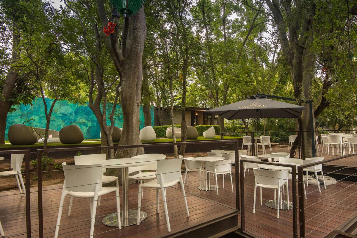 Pécan Pool Bar, Bar in Johannesburg