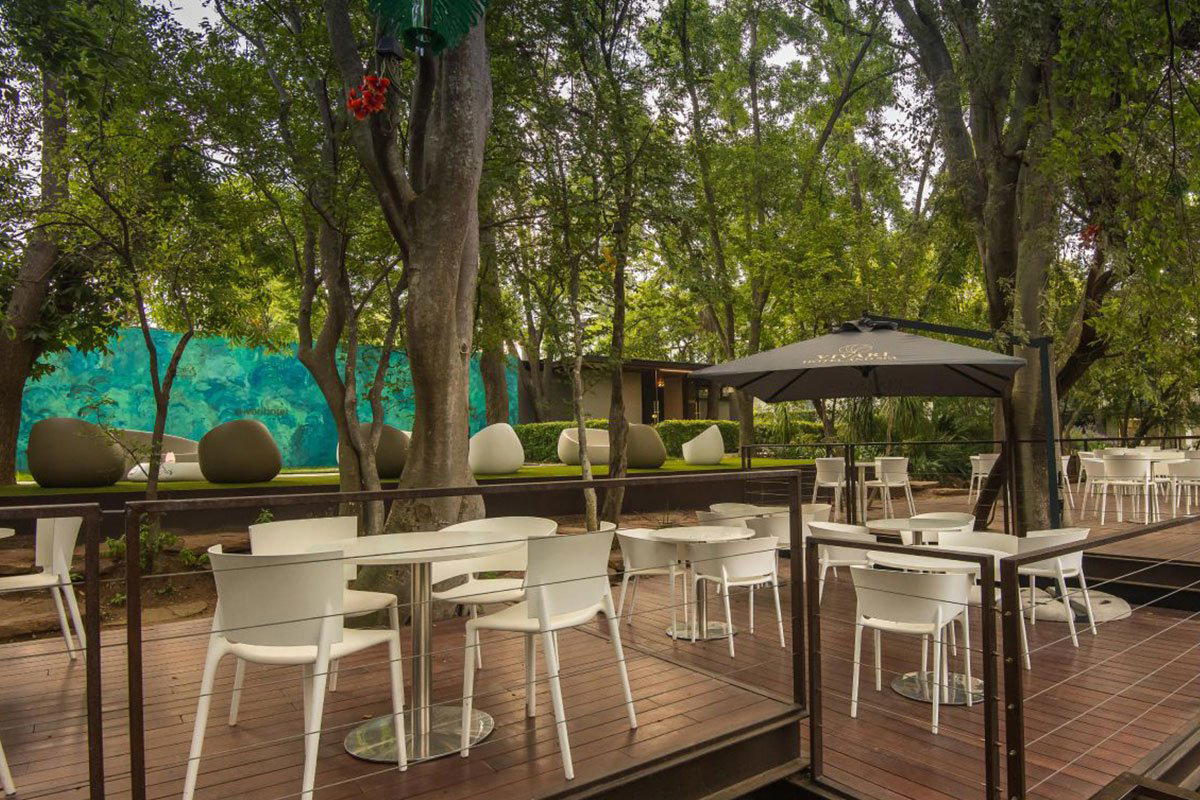Pécan Pool Bar bar in Johannesburg