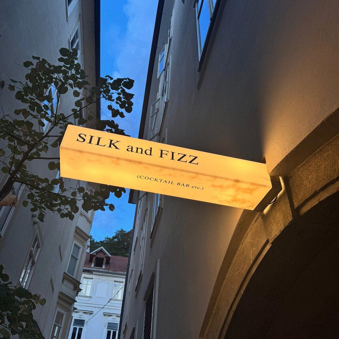 Silk & Fizz bar in Ljubljana