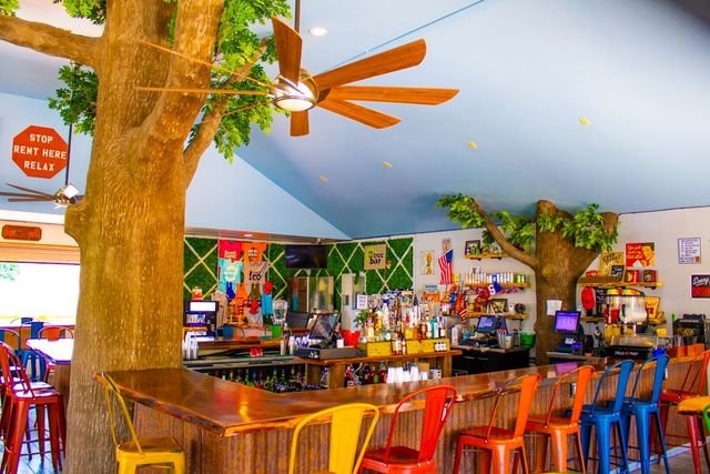 Pool Tree Bar, Bar in Florence