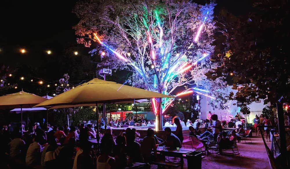Axelrad Beer Garden bar in Houston