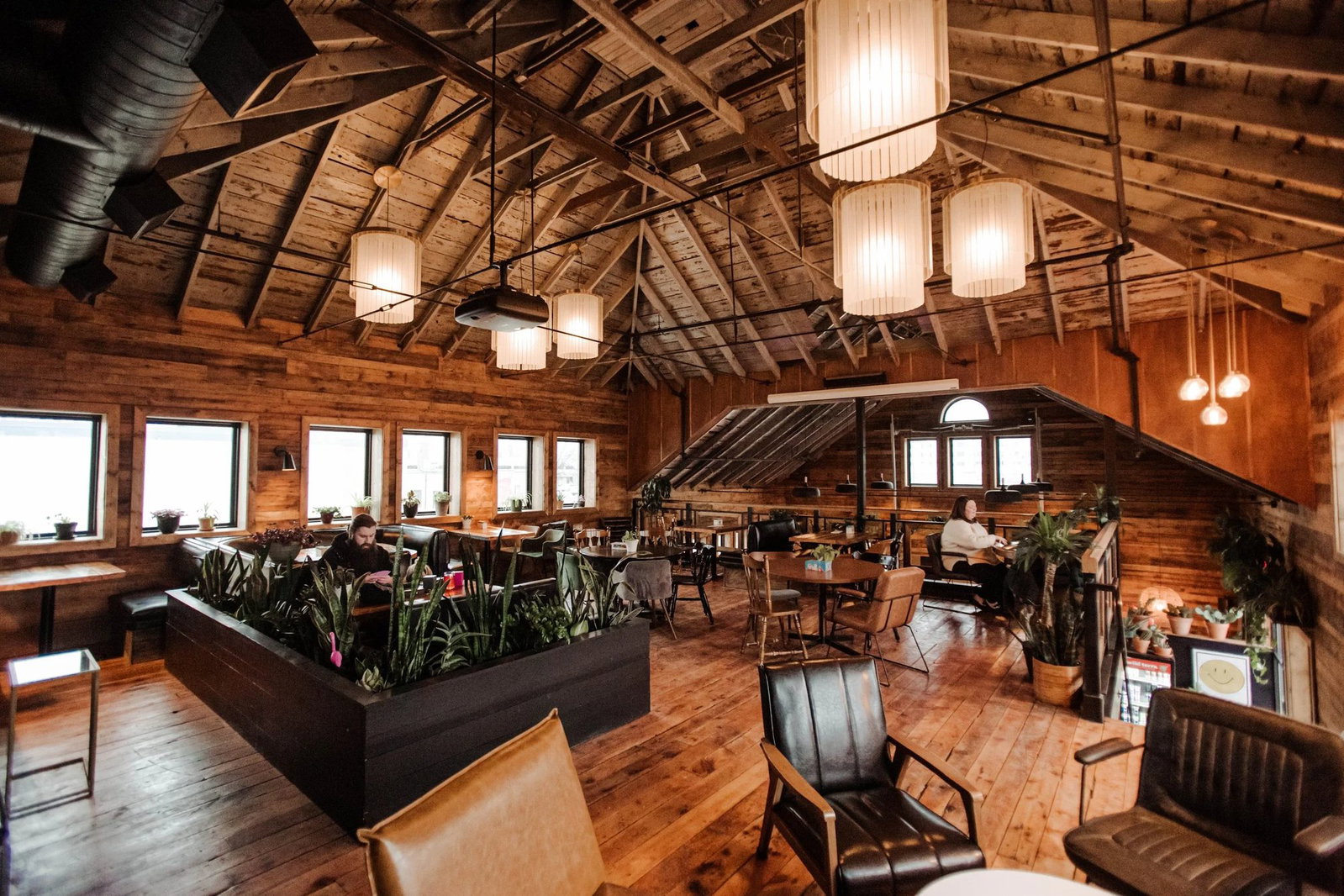 Wild Terra, Fargo, United States