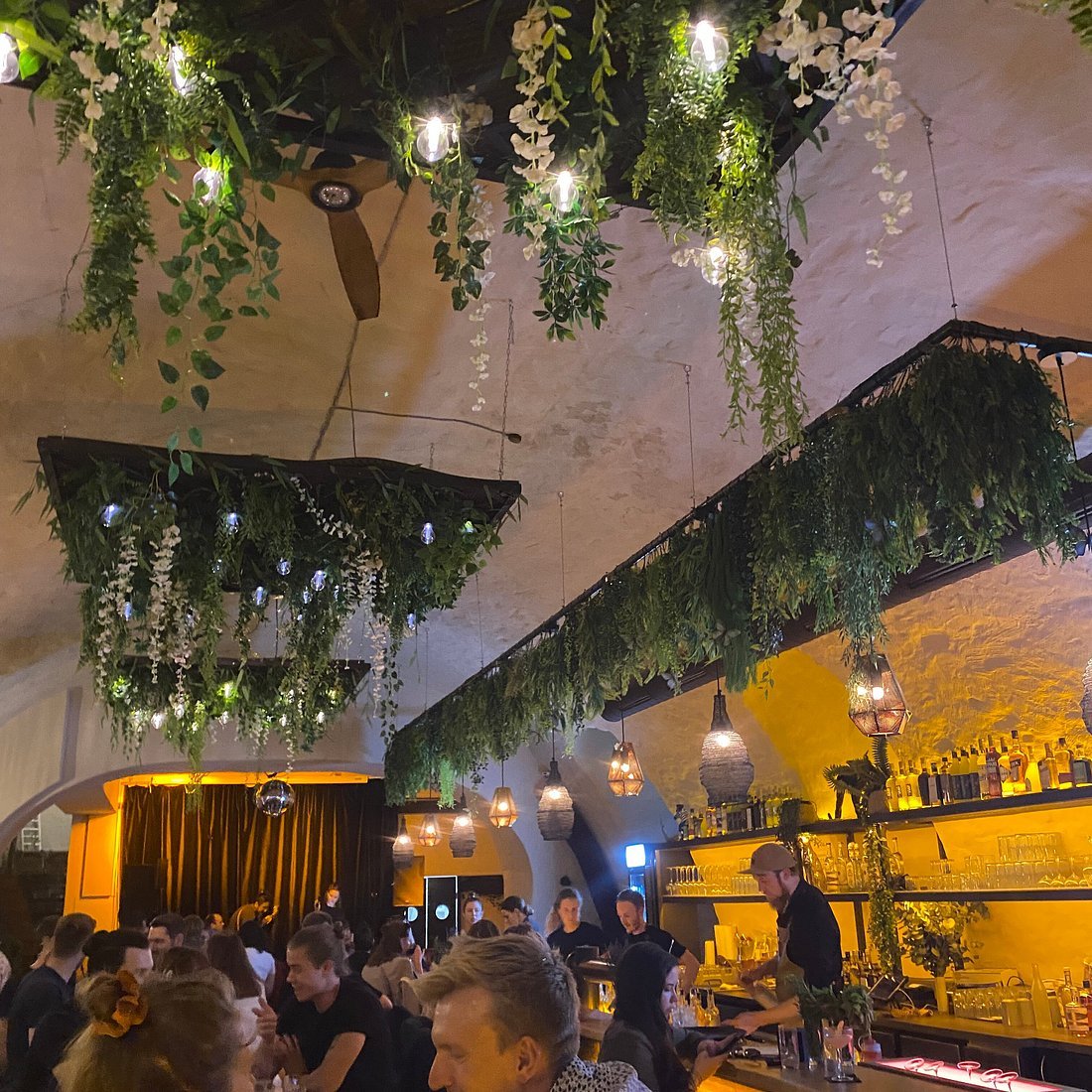Frederics Cocktail Club