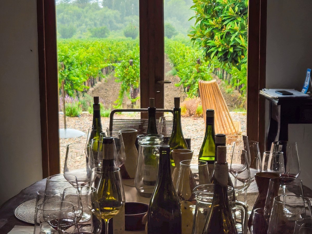 Ampora Wine Tours