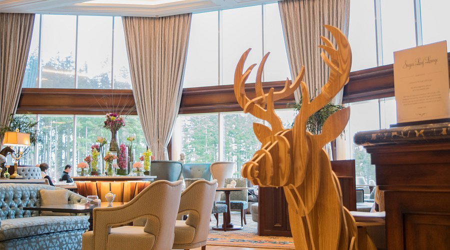 Sugar Loaf Lounge bar in Enniskerry