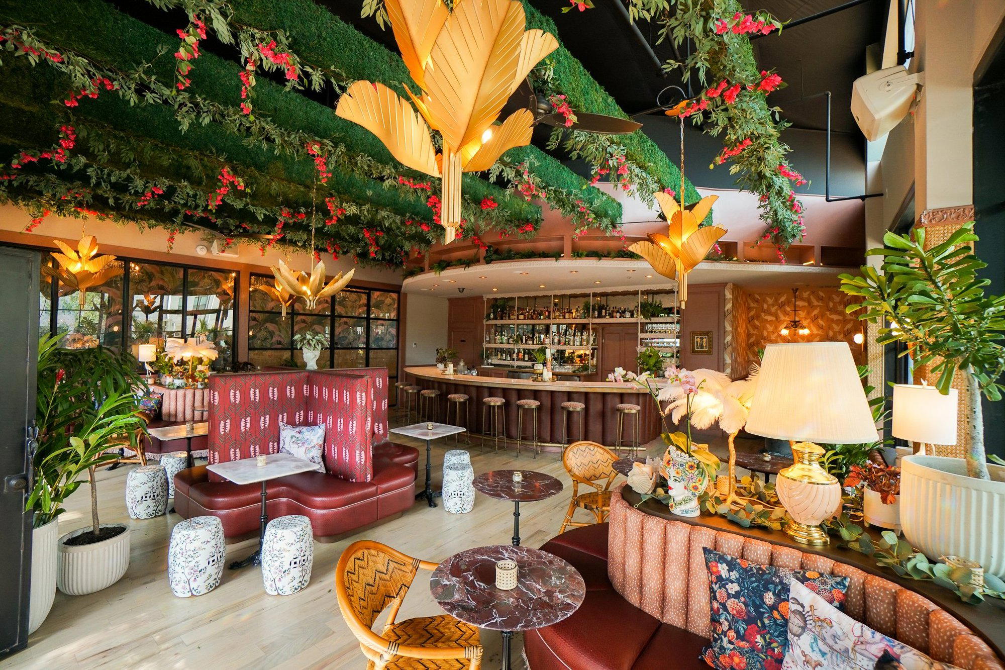 Paradiso bar in Dallas, United States