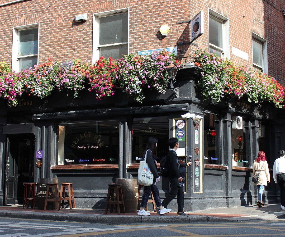The Old Stand, Bar in Dublin