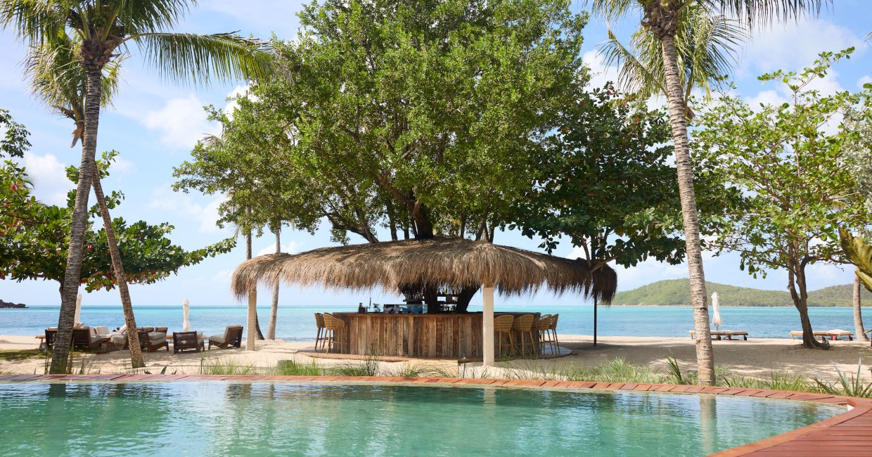 Tree Bar