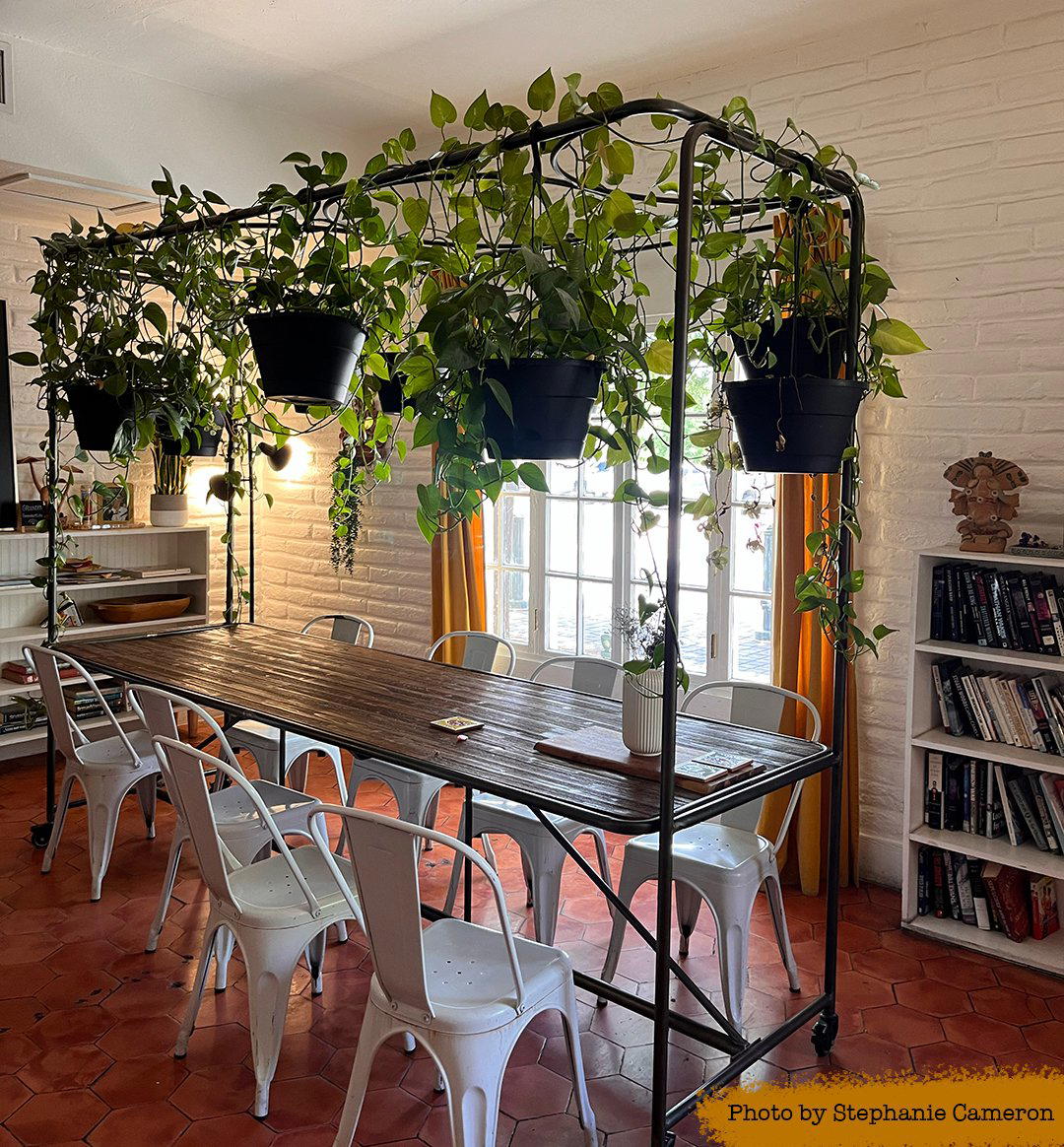 Grounded bar in Las Cruces, United States