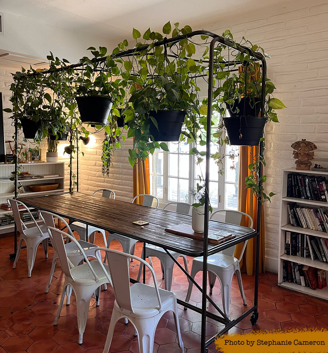 Grounded bar in Las Cruces, United States