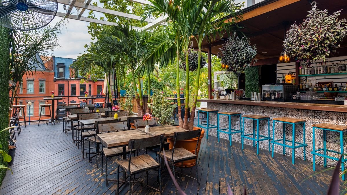 El Techo, Bar in Washington DC