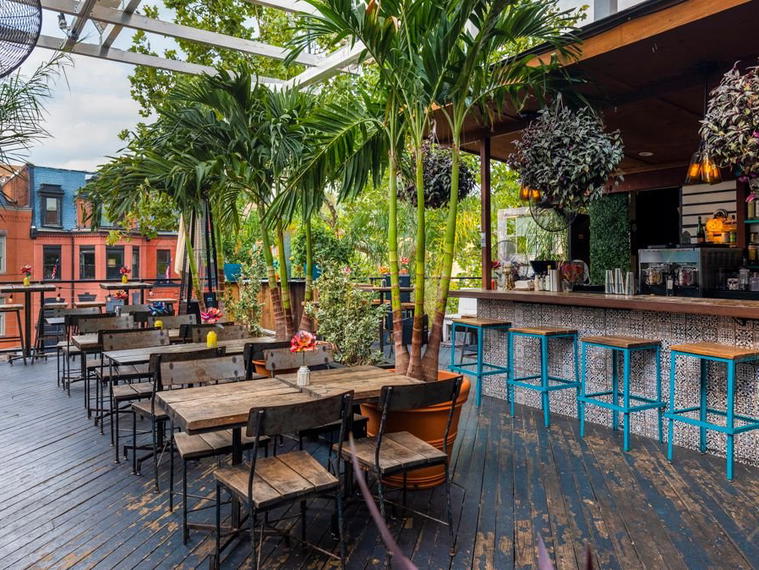 El Techo, Washington DC, United States