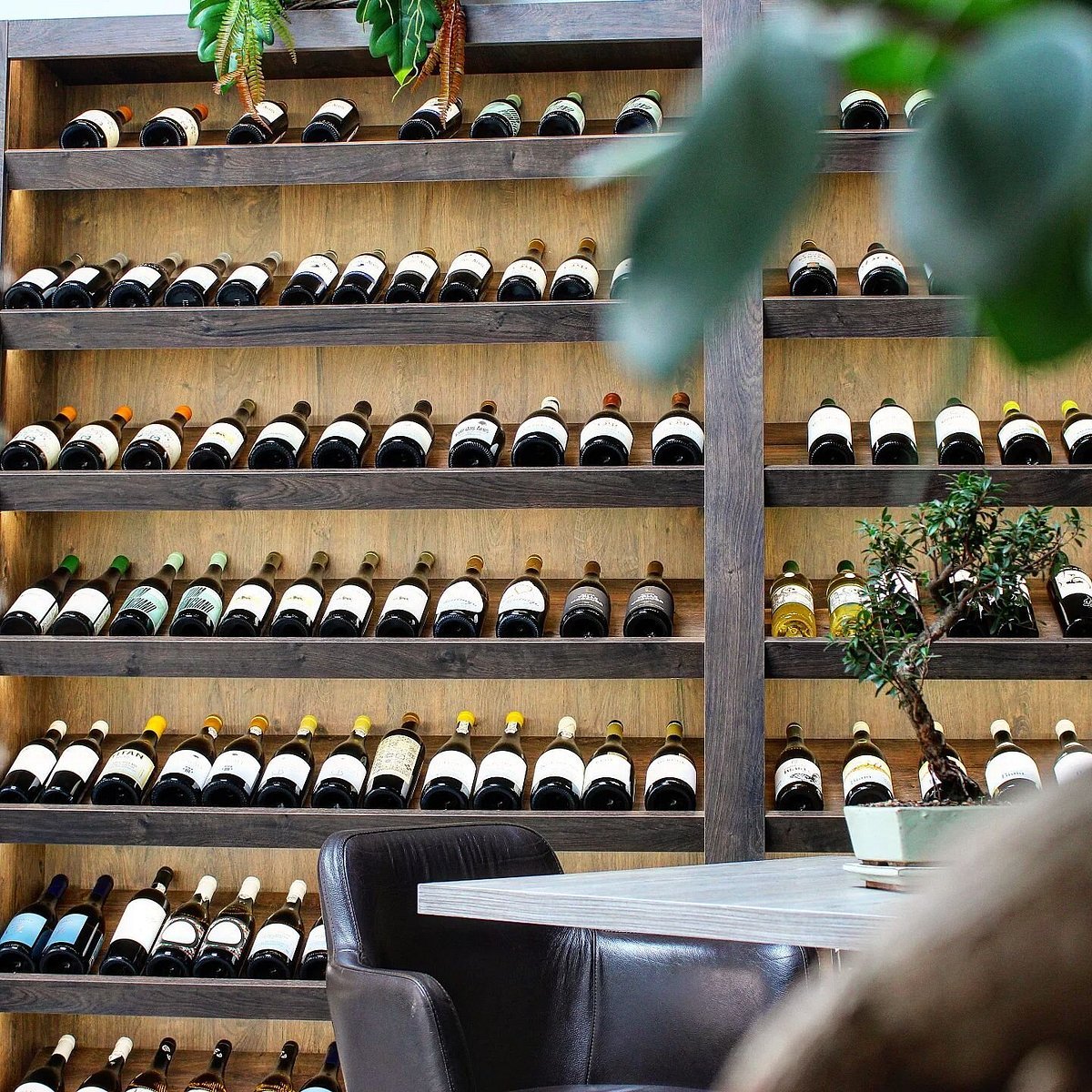 Garrafeira Baga bar in Coimbra, Portugal