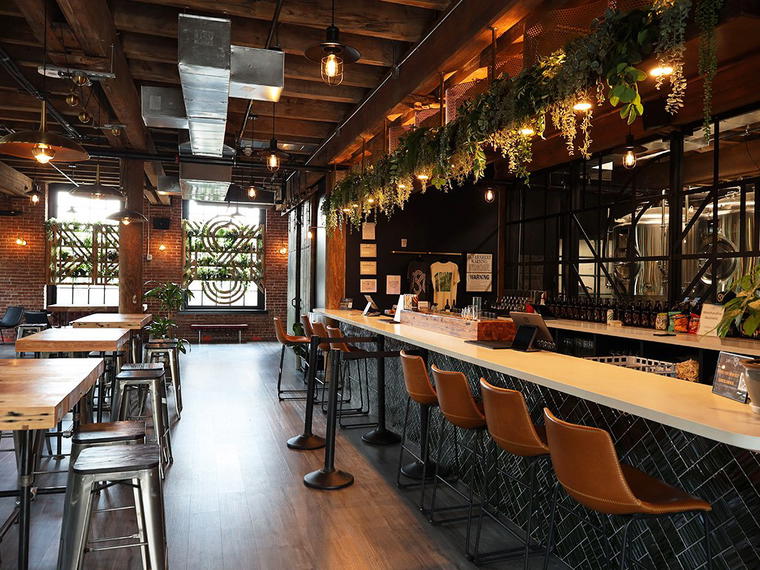 Simple Motive Brewing Co., Yonkers, United States