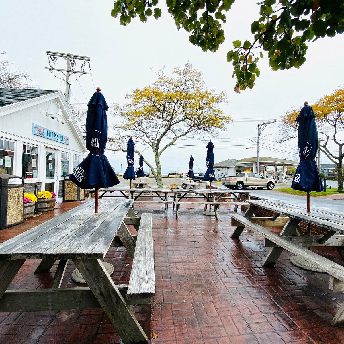 The Net Result, Bar in Vineyard Haven