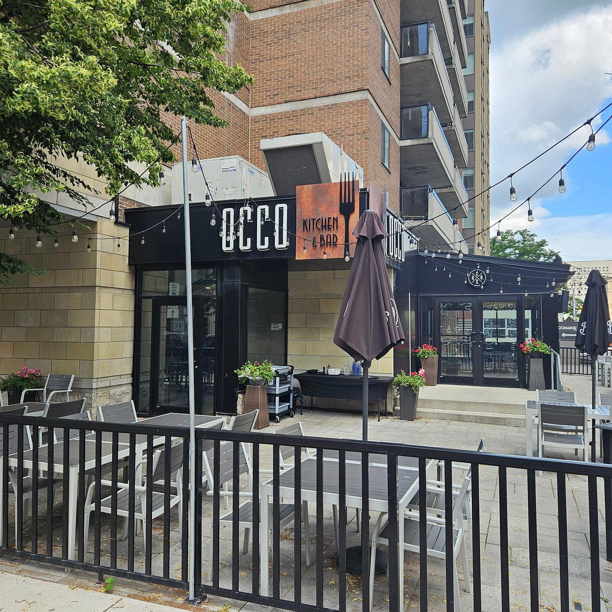 OCCO Kitchen & Bar bar in Ottawa, Canada