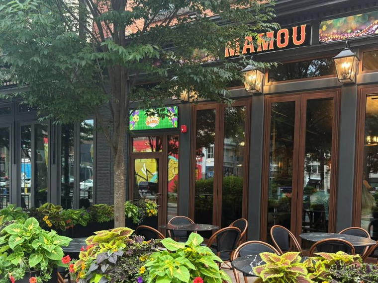 The Mamou, Springfield, United States