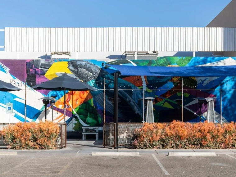 The Sleepy Whale, Chandler, United States