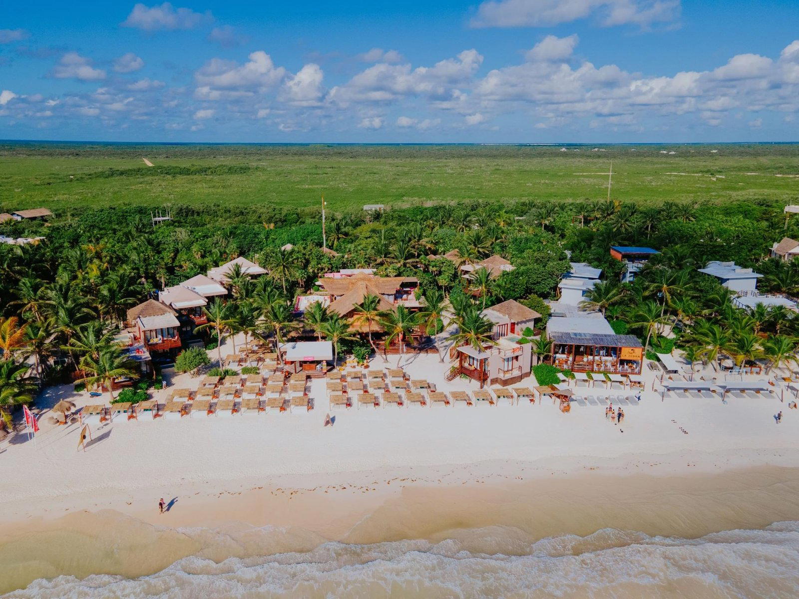 La Zebra Beach Bar bar in Tulum