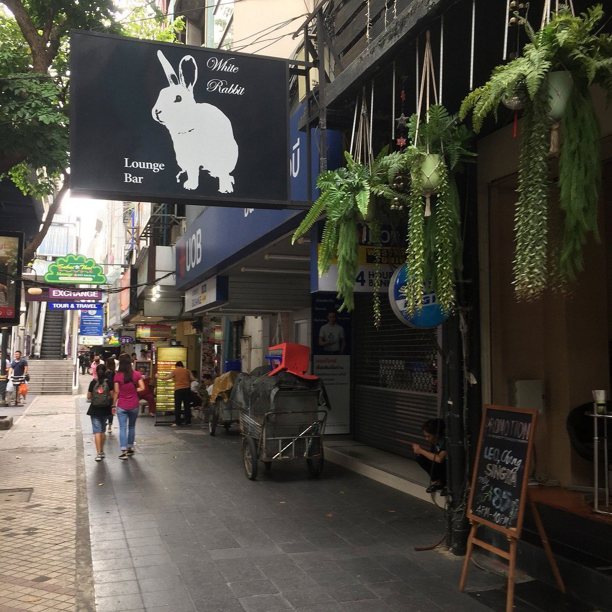 Whiteline, Bar in Bang Rak