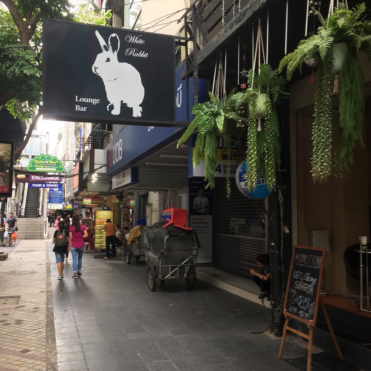 Whiteline bar in Bang Rak, Thailand