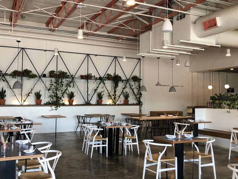 Milo All Day, Waco, United States