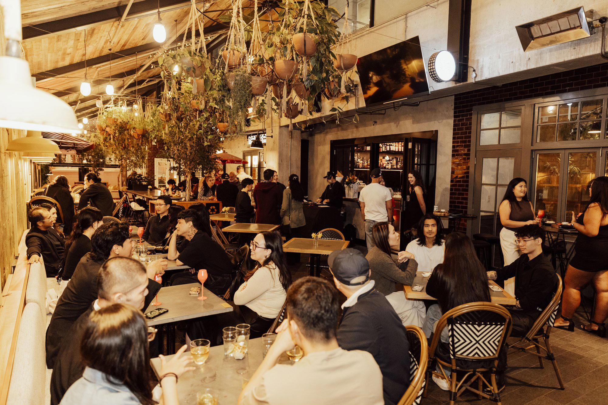 Truth or Dare bar in Auckland