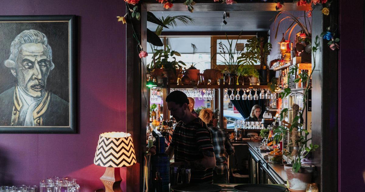 Woof! bar in Dunedin