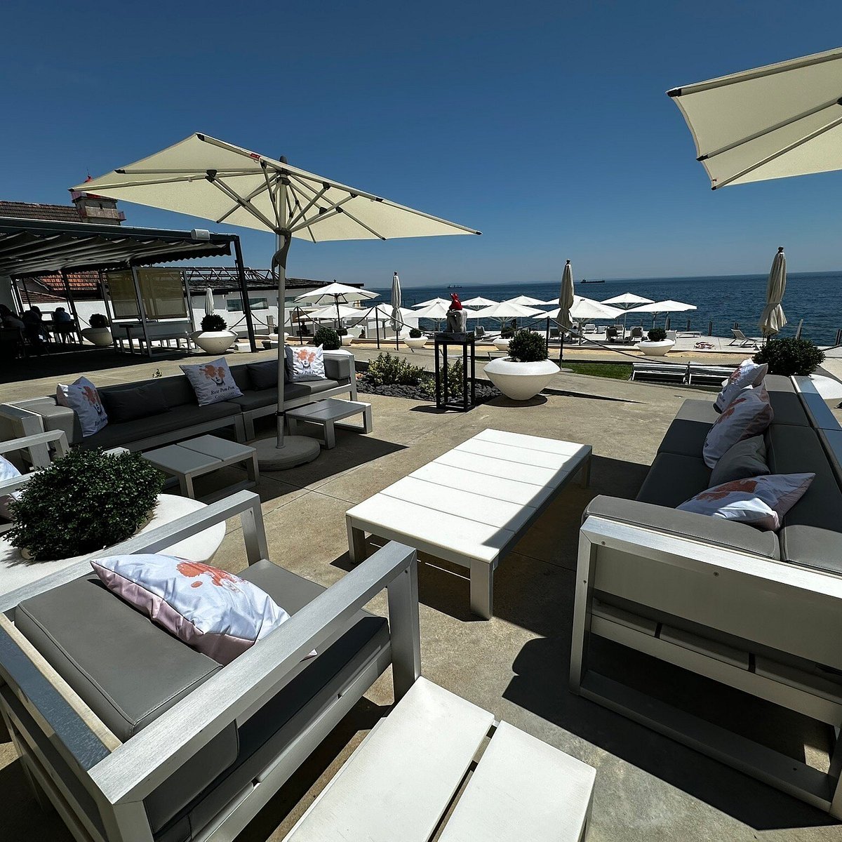 Bar on the Rocks
