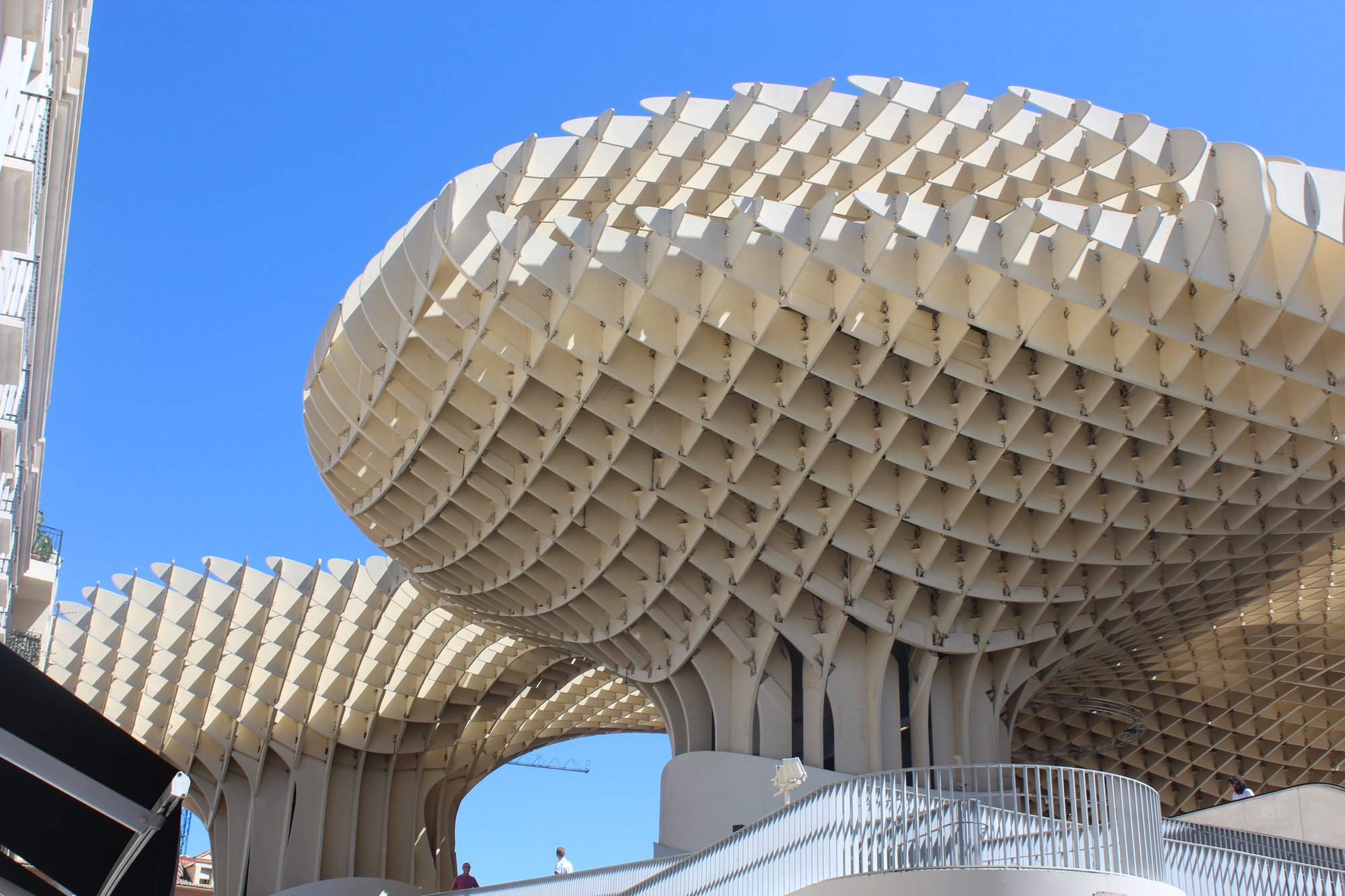 El gourmet del parasol