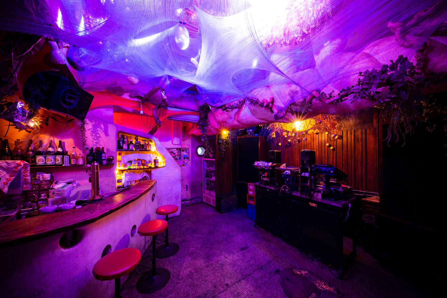 Bonobo, Tokyo, Japan