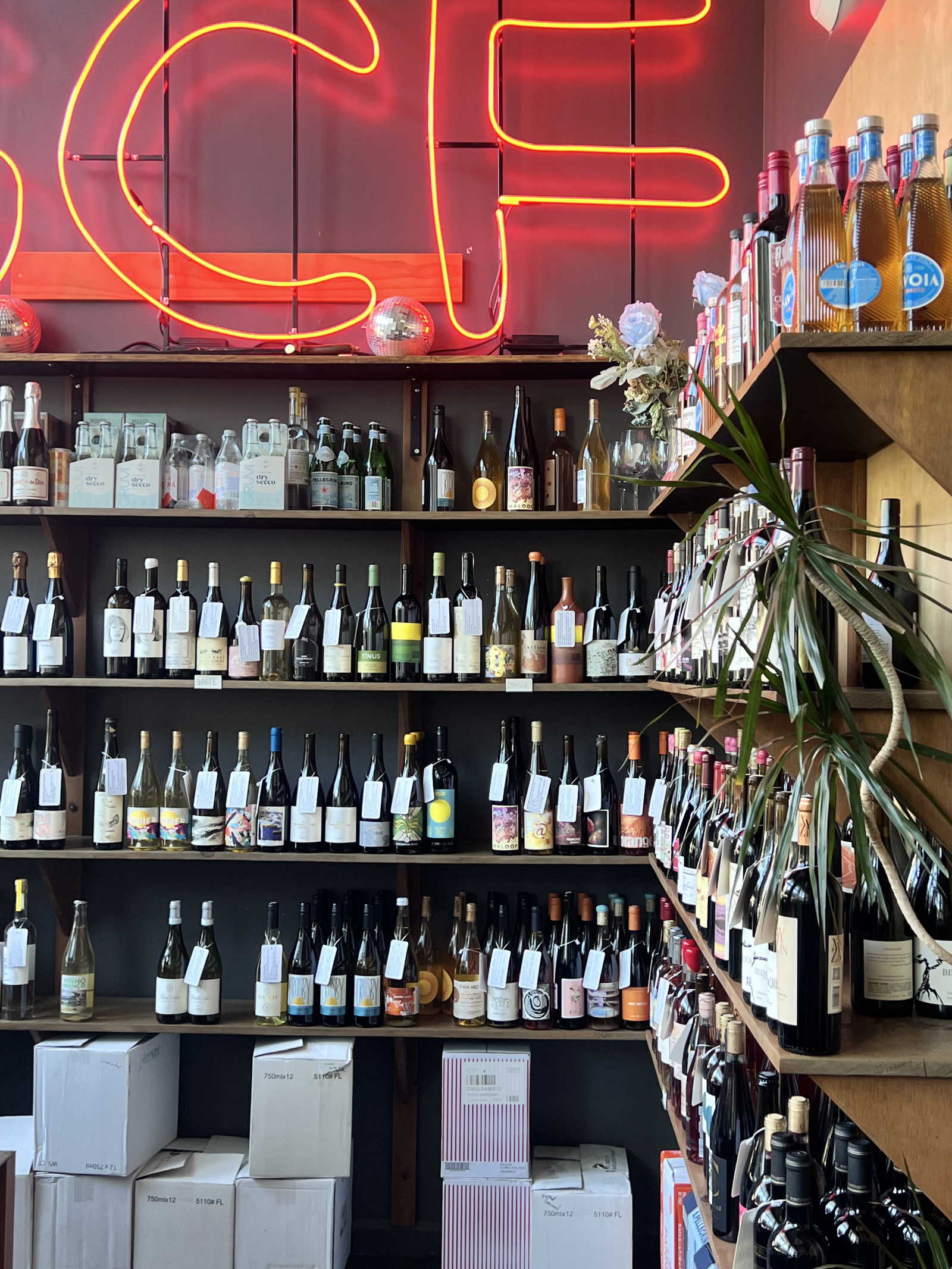 Good Clean Fun, Bar in Los Angeles