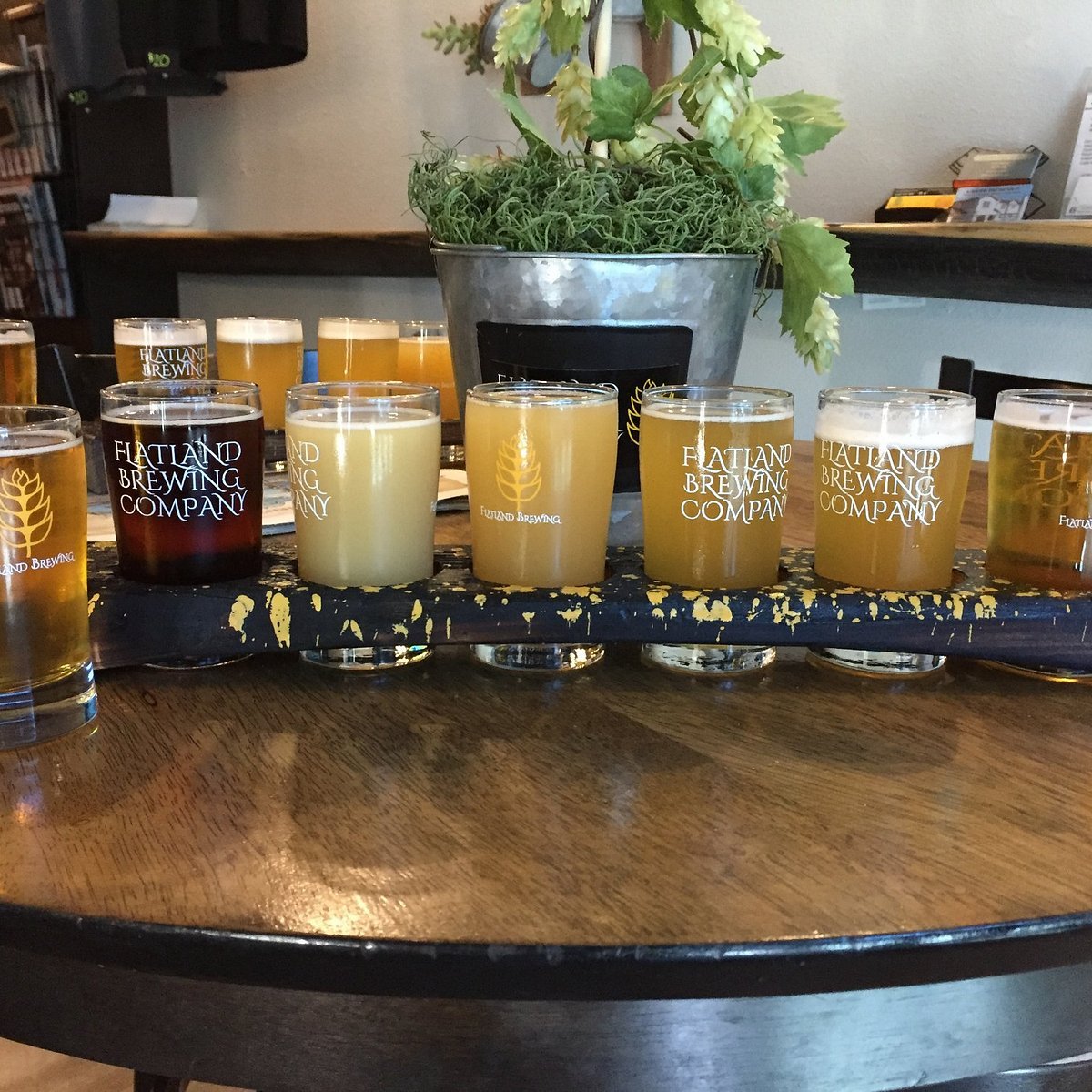 Flatland Brewing Company bar in Elk Grove, United States