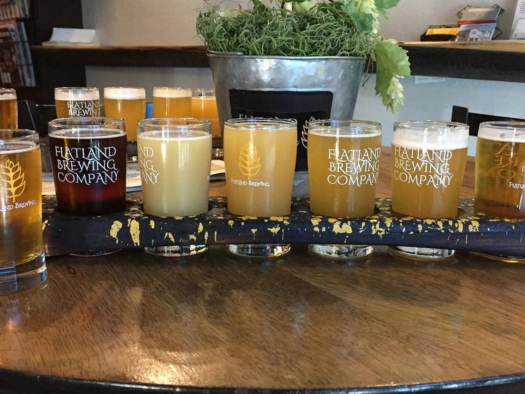 Flatland Brewing Company, Elk Grove, United States
