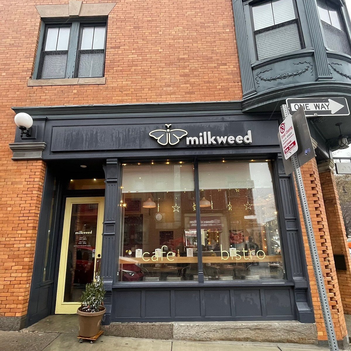 Milkweed, Boston, United States