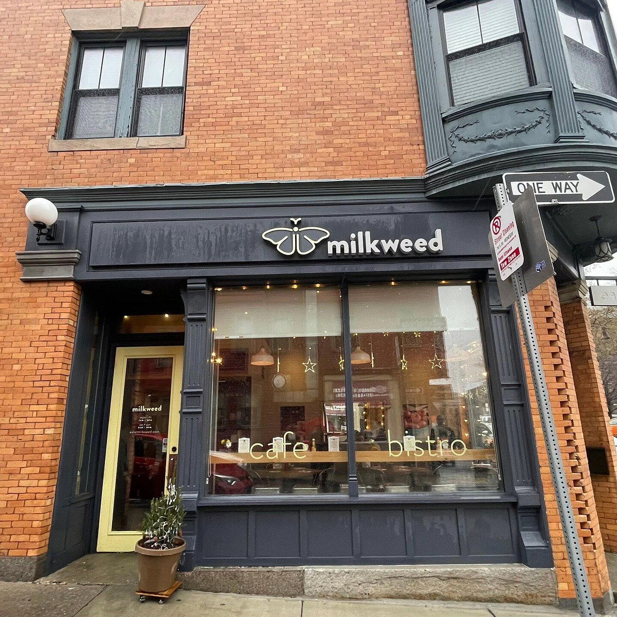 Milkweed bar in Boston, United States