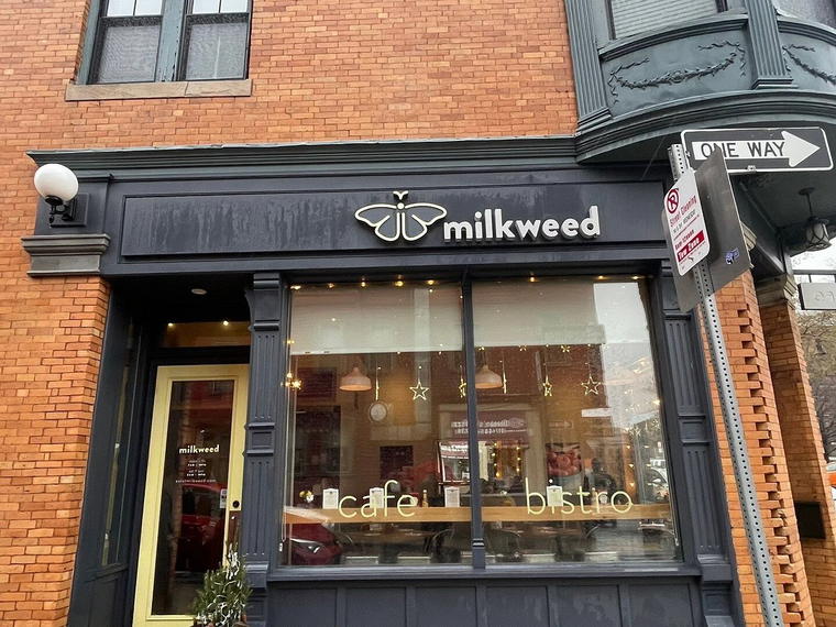 Milkweed, Boston, United States