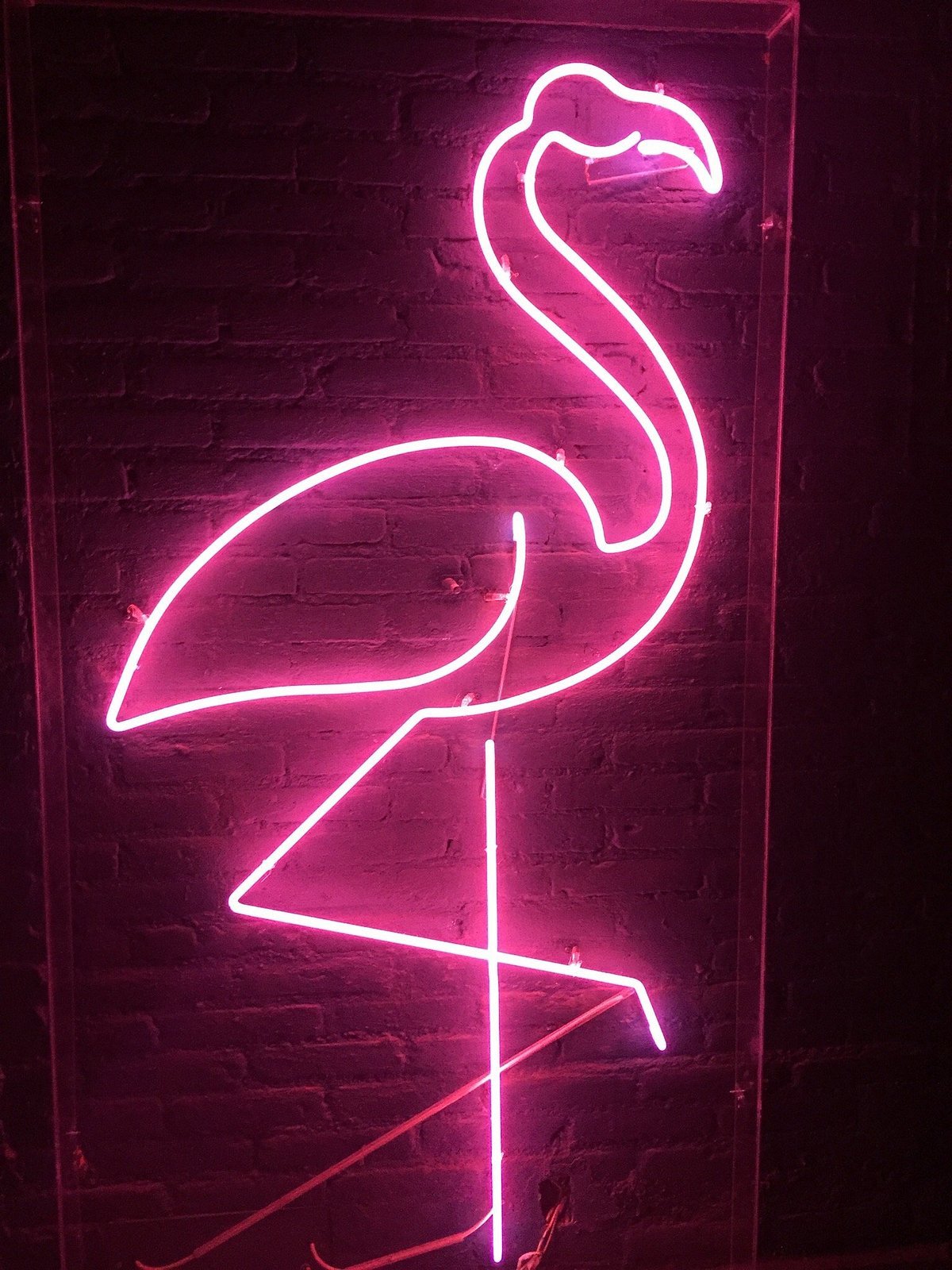 Café Paraíso bar in Mexico City, Mexico