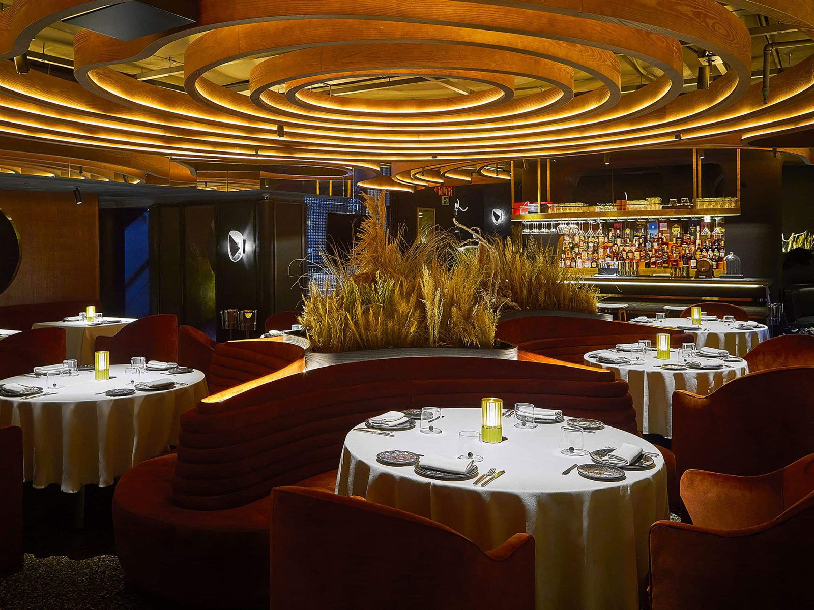 Mery Barbola Bar, Bar in Madrid