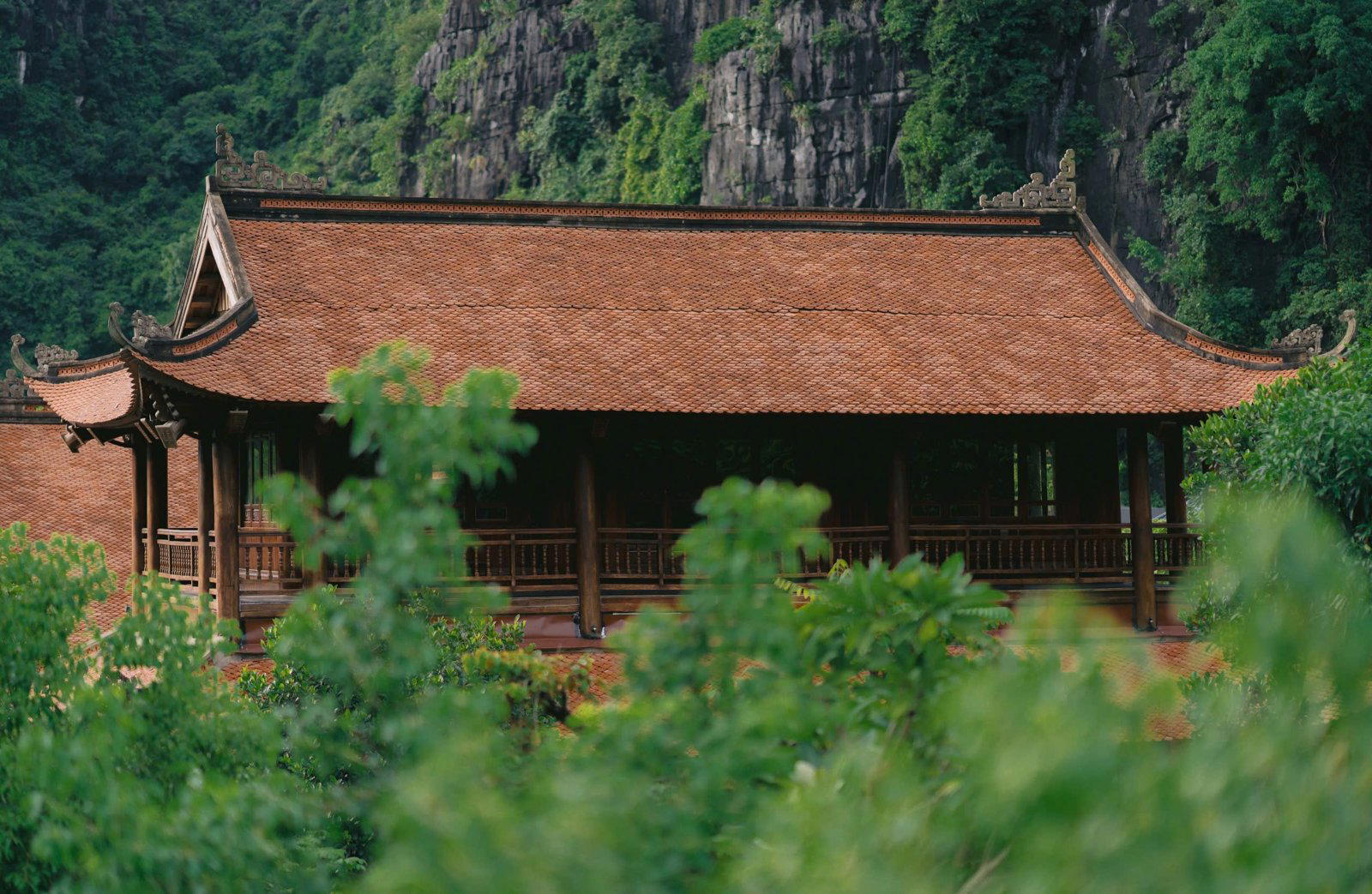 Jiva Teahouse bar in Ninh Binh