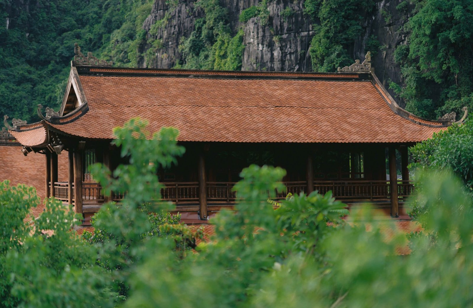Jiva Teahouse