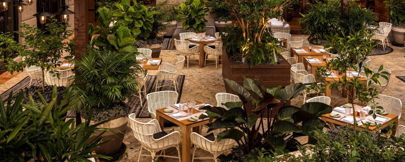 The Sundeck