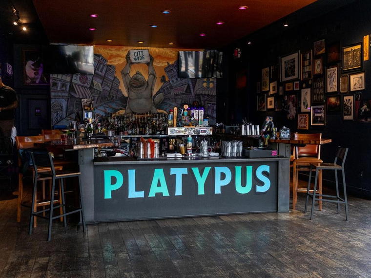 Platypus, St Louis, United States