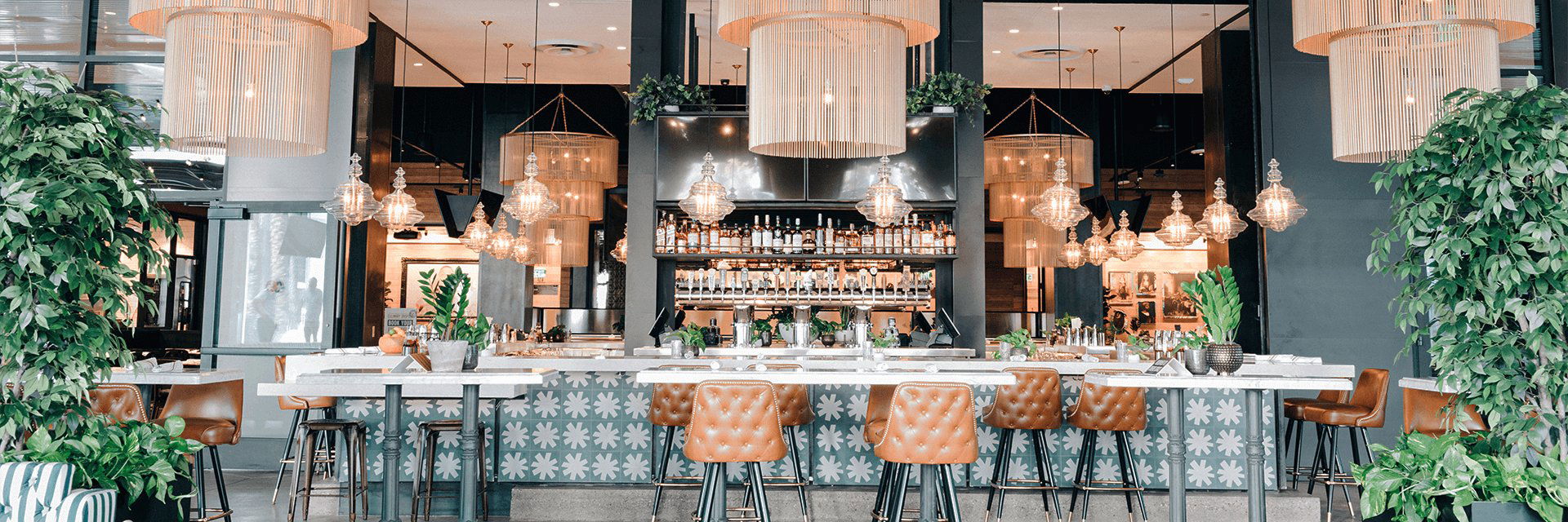 Culinary Dropout, Bar in Scottsdale
