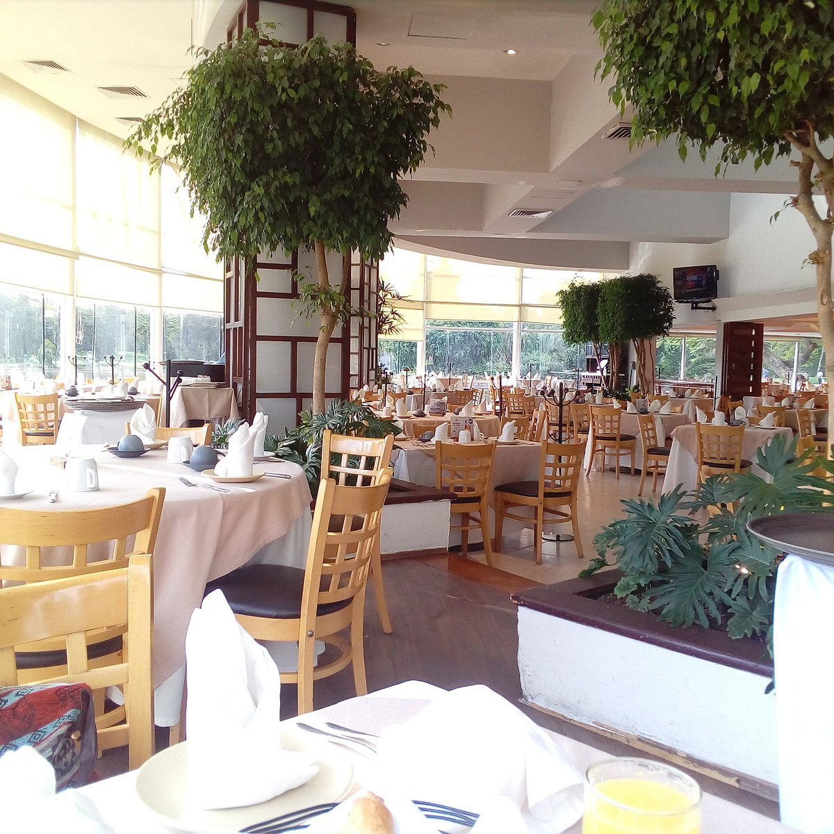 Cantina El Bosque, Bar in Miguel Hidalgo