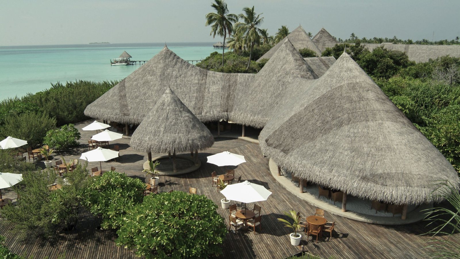 Conch Bar